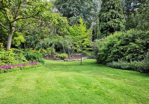 Optimiser l'expérience du jardin à Ricquebourg